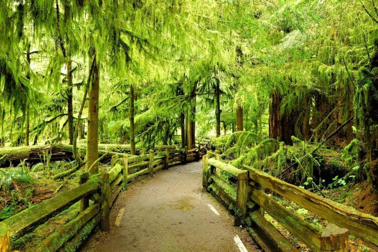 Create an Eco-Friendly Zone