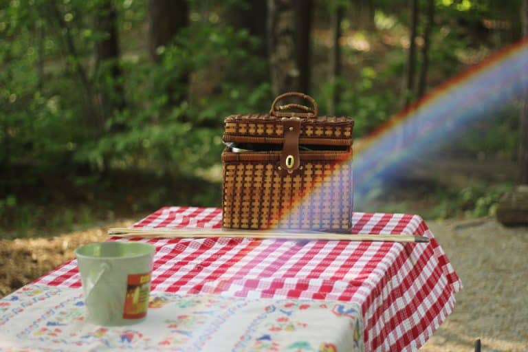 Picnic Essentials